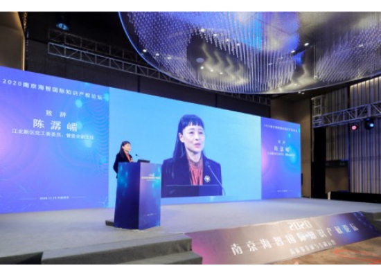 2020南京海智国际知识产